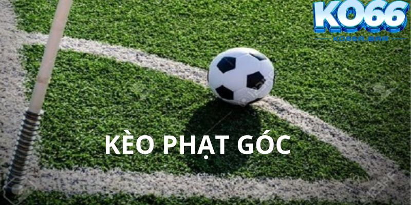 Xem xét phong độ và lối chơi 