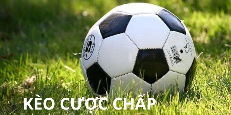 Lựa chọn kèo cược chấp KO66
